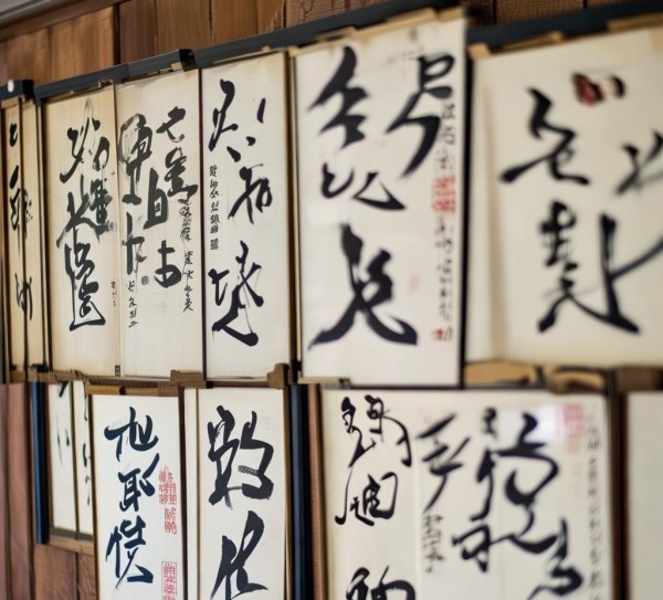 翰墨传承，墨香飘溢——硬笔书画一等奖得主风采展,翰墨传承，墨香飘溢——硬笔书画一等奖得主风采展,书法,硬笔书法,艺术传承,第1张